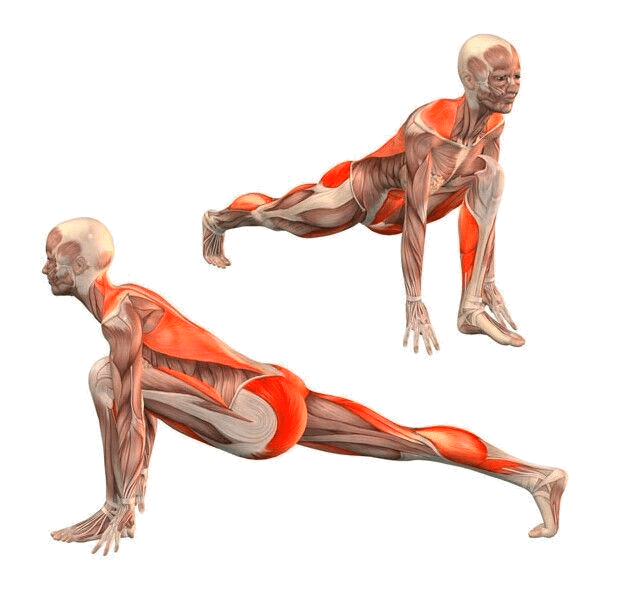 Mobilidade Articular e Flexibilidade