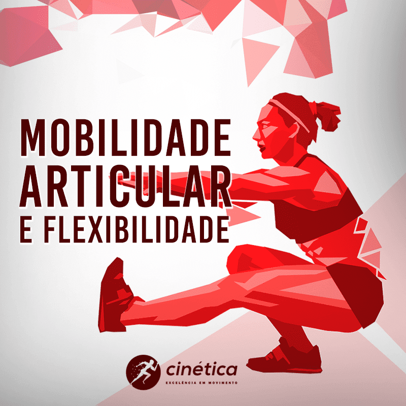 Mobilidade Articular e Flexibilidade