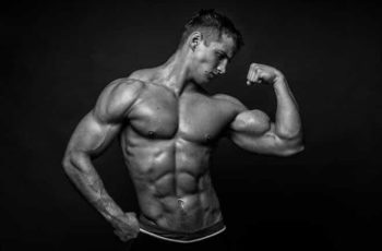 Manual do Ectomorfo
