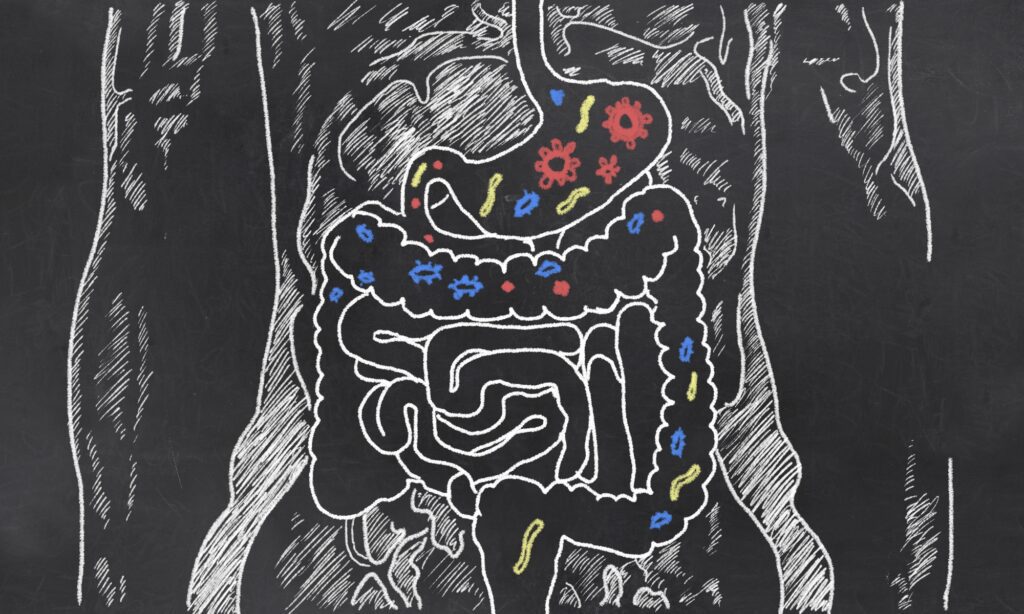 Coma alimentos probióticos ou tome um suplemento probiótico