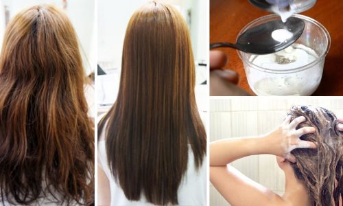 RECEITAS CASEIRAS PARA O CABELO