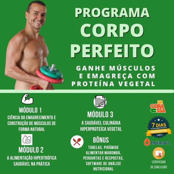 Ganhe músculos e emagreça com proteína vegetal